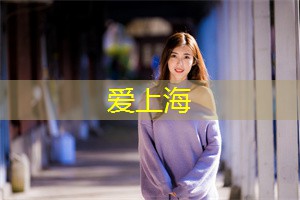 上海的交通系统更是堪称未来主义的典范